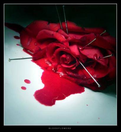 Les blessures rendent cruelle